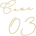 case03