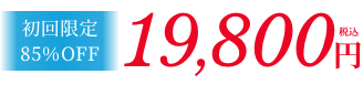 初回限定85%OFF 19,800円