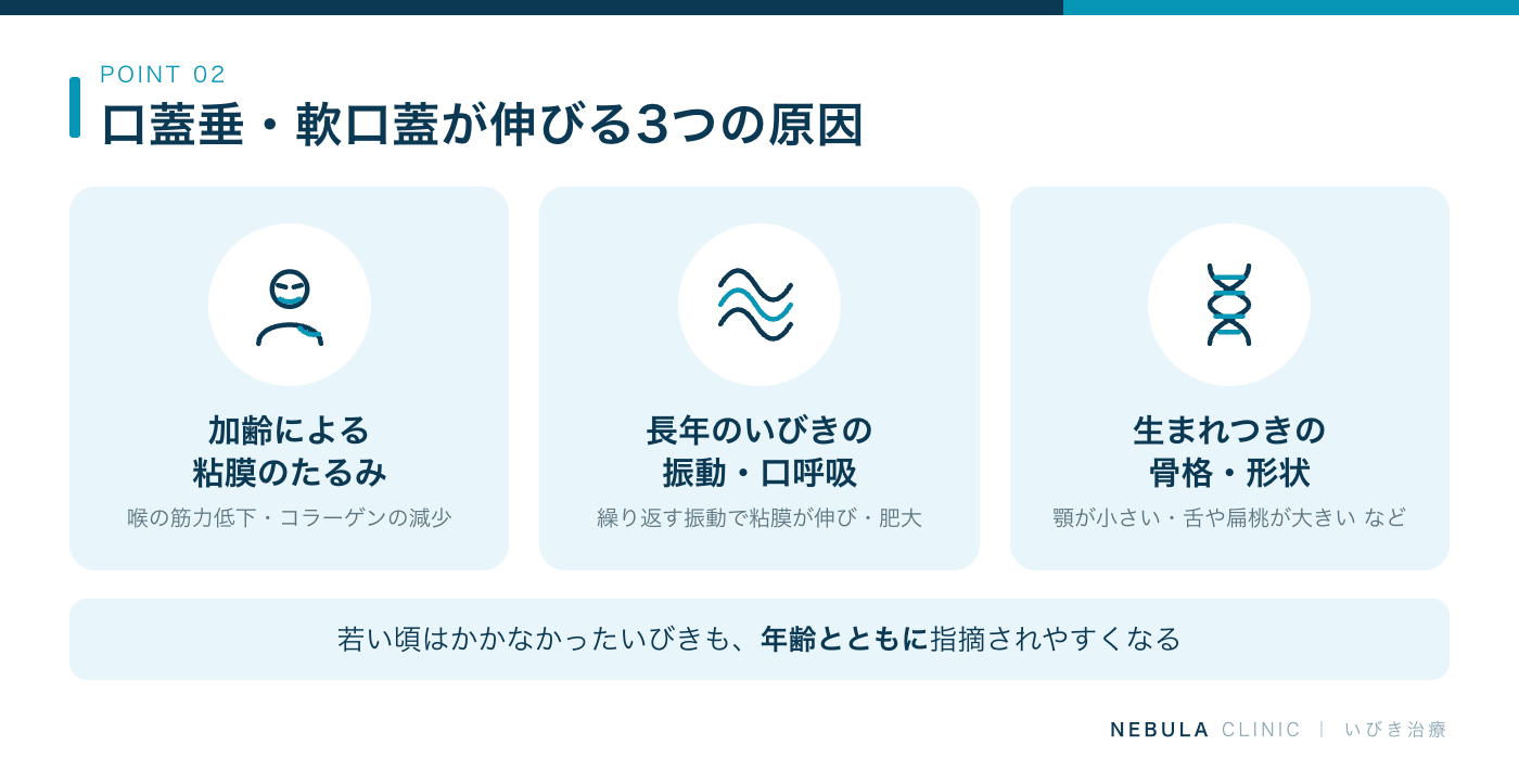 口蓋垂や軟口蓋が伸びて垂れ下がる3つの原因（加齢による喉の筋力低下とコラーゲンの減少、長年の口呼吸やいびきの振動による粘膜の伸び・肥大、生まれつきの骨格や口蓋垂の形状）の図解